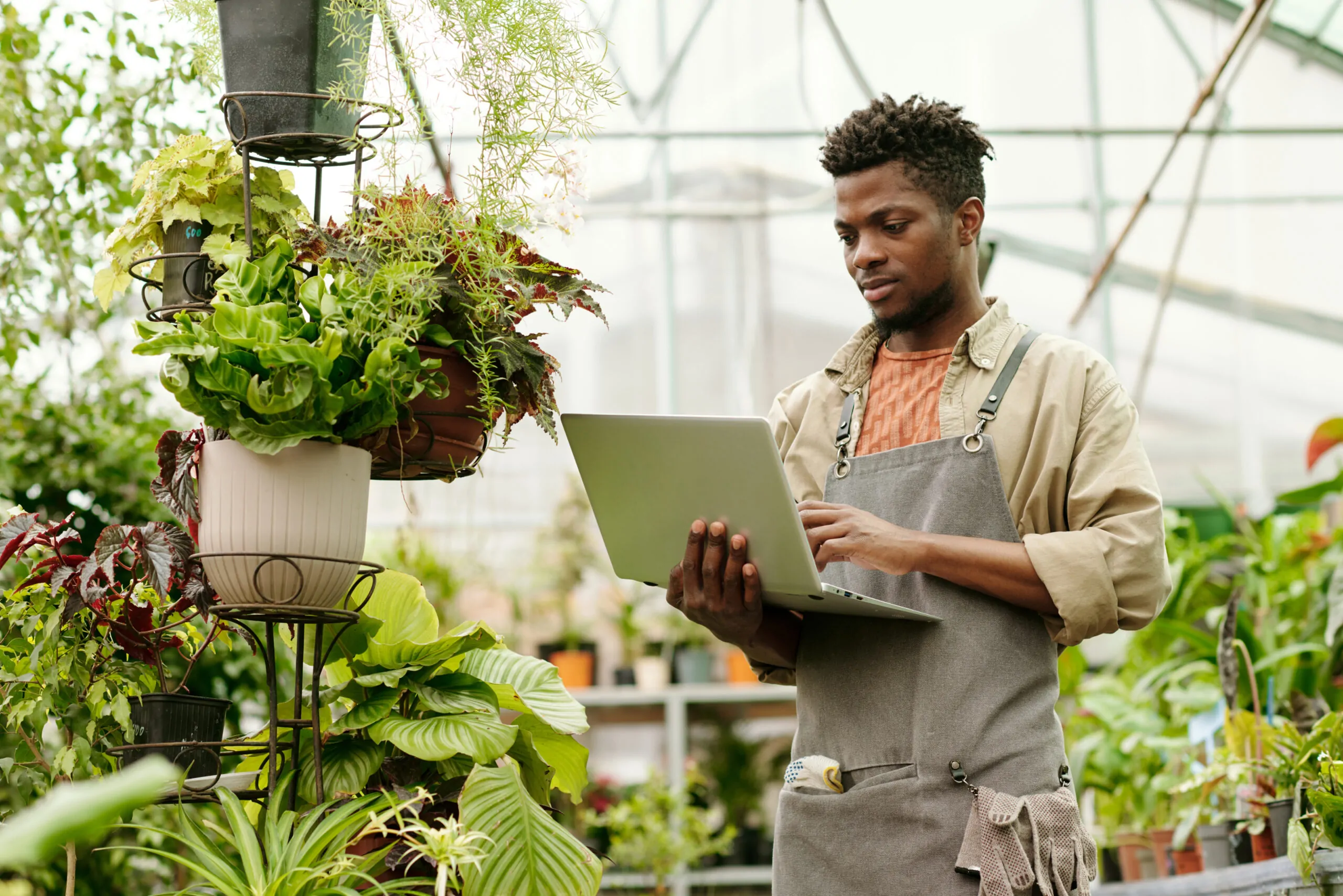 african man using laptop in greenhouse 2023 11 27 05 09 30 utc